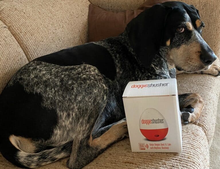 Can White Noise Help with Separation Anxiety in Dogs?