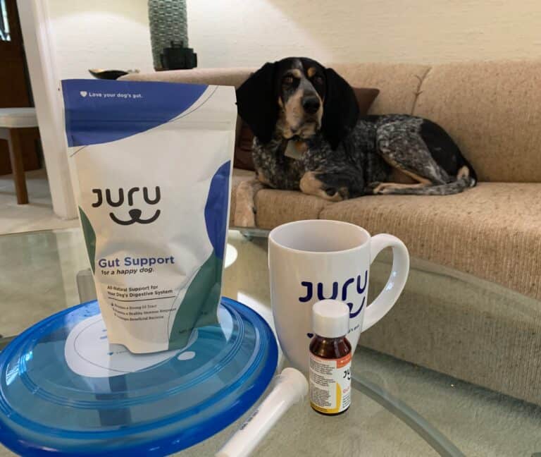 Gut Support that goes beyond Probiotics