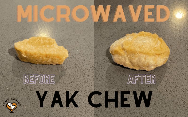 Microwaved Yak Chew - before and after. You can see how the yak chew becomes a cheese puff.