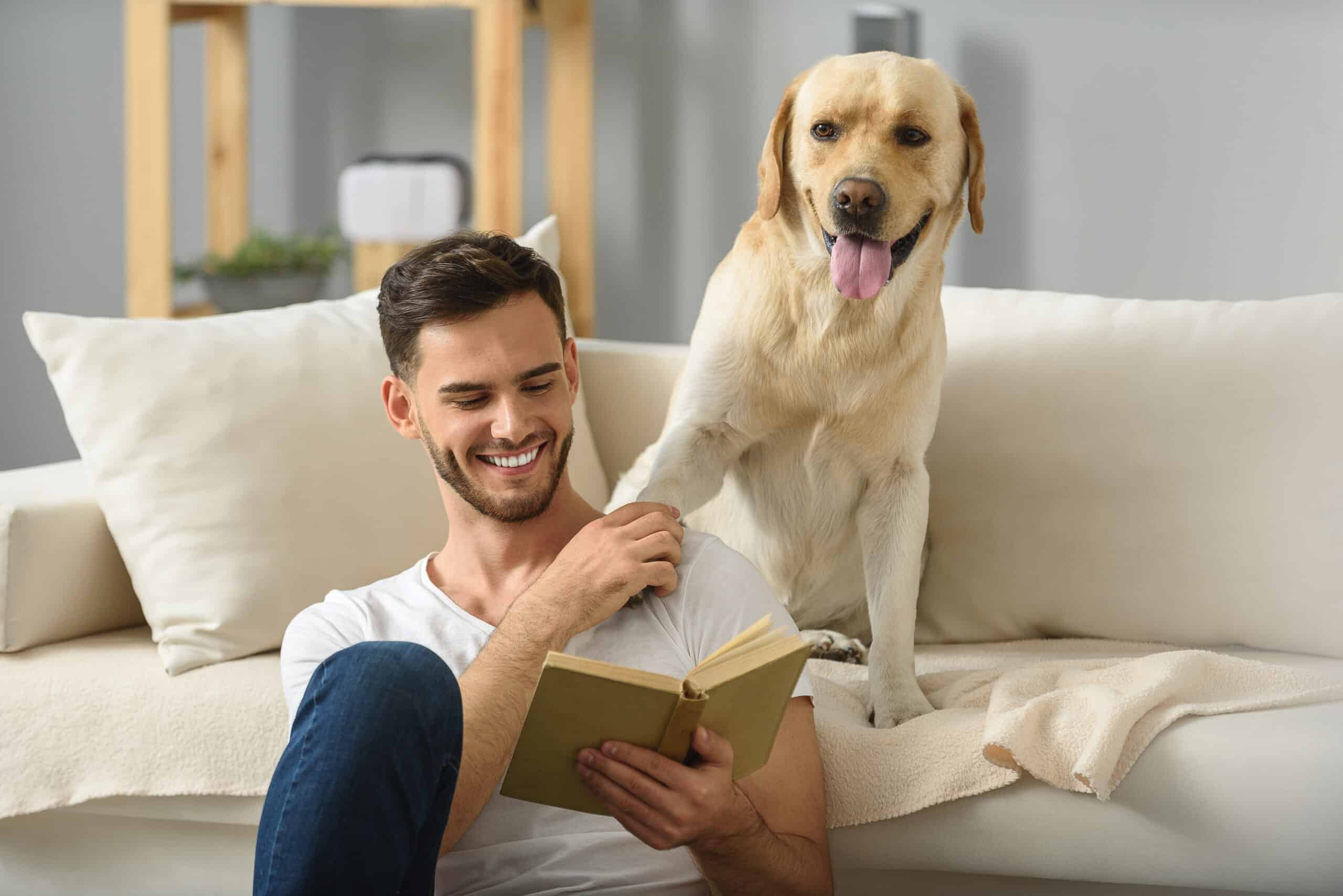 challenges and rewards of living with dogs indoors