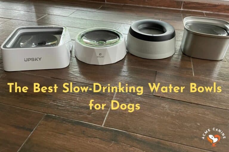We tried the best slow drinkingw ater bowls for dogs