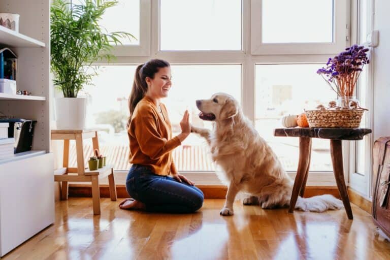 women shaking hand with owner