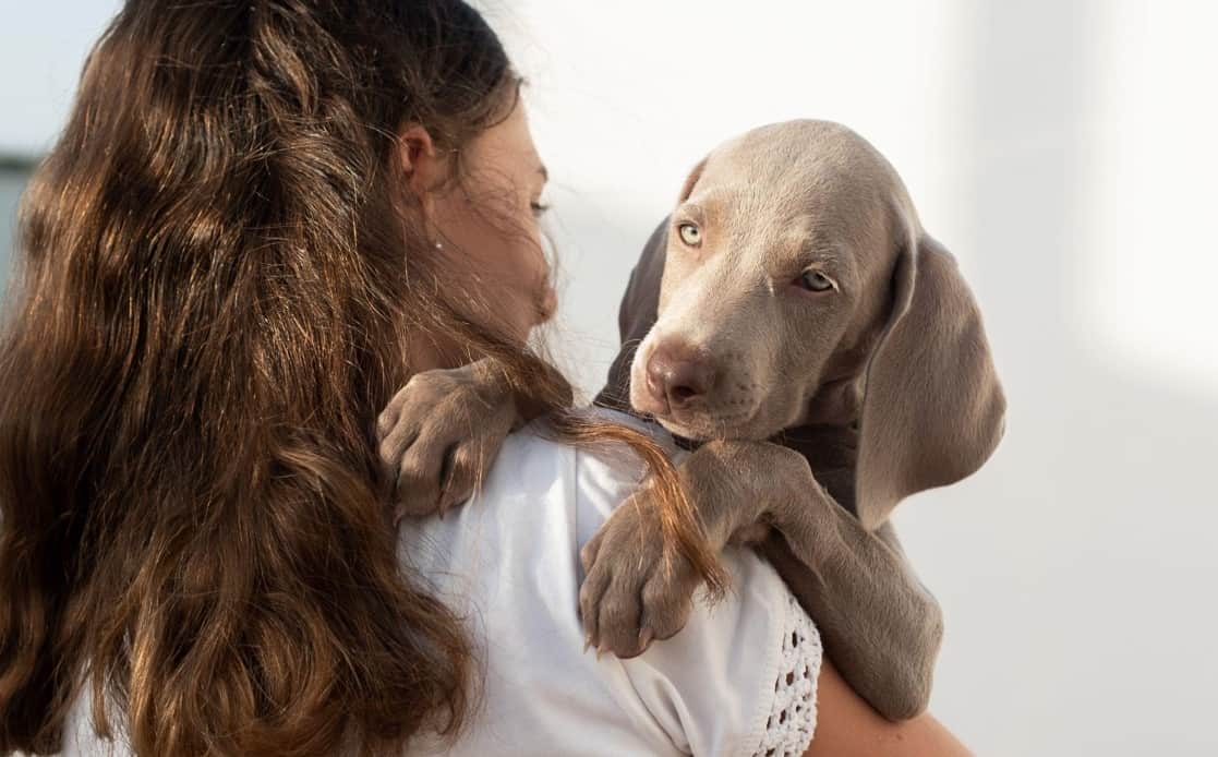women taking dog in hand