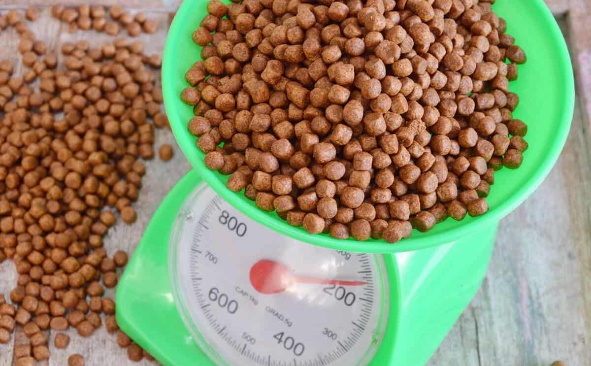 weighting dog food